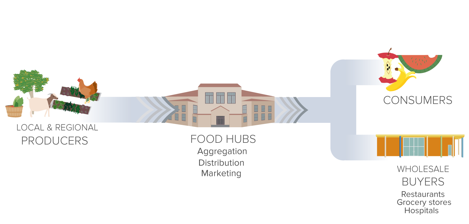 Food hubs aggregate food from producers and sell to wholesale buyers or consumers