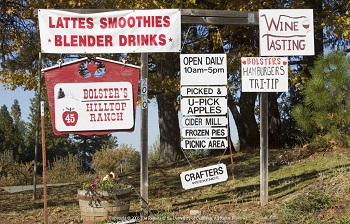 Agritourism can provide opportunities for product diversification for growers. Photo: UC ANR