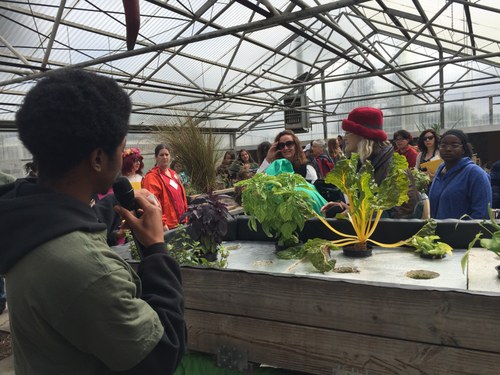 Lecture in a greenhouse