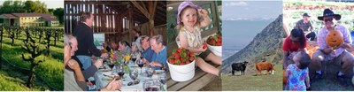 photo stitch of farm activities