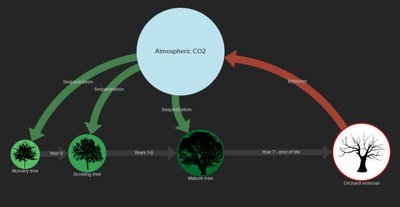 carbon storage