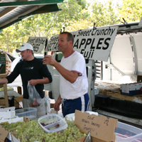 farmers market