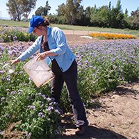 agriculture resources and environment image
