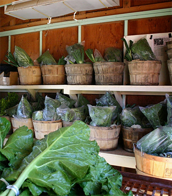 Rows of CSA baskets on shelves