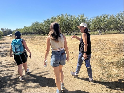 Several people walk and talk alongside an orchard