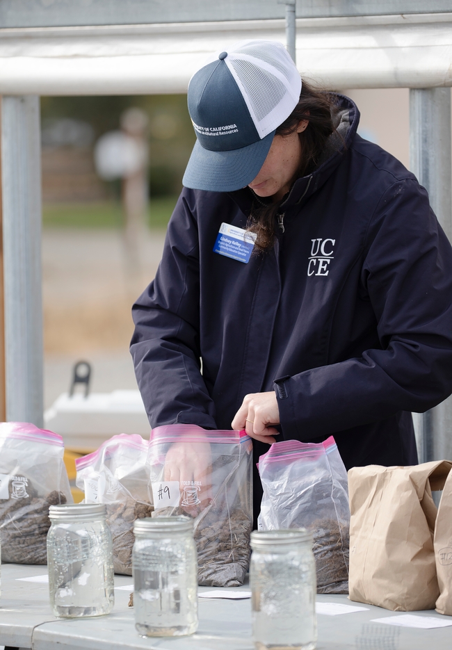 Lindsay reaches into a plastic bag to grab a handful of soil. Three jars of water are lined up in front of bags of soil.