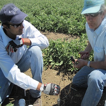 two people discussing disease management in a field