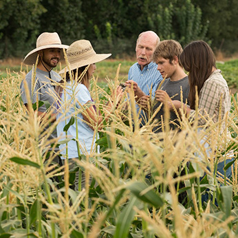 Organic farmers standing in a circle in a field of corn
