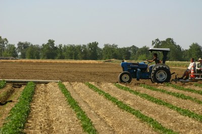 tractor pulling a trailer of people in a field