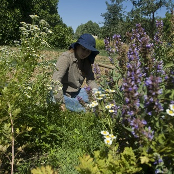 woman gardening surrounded by flowering plants