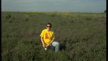 Woman kneeling in a field of woollypod vetch