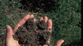 hands holding a pile of soil