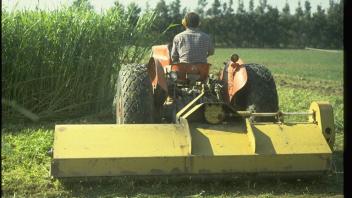 mower with sudangrass in background
