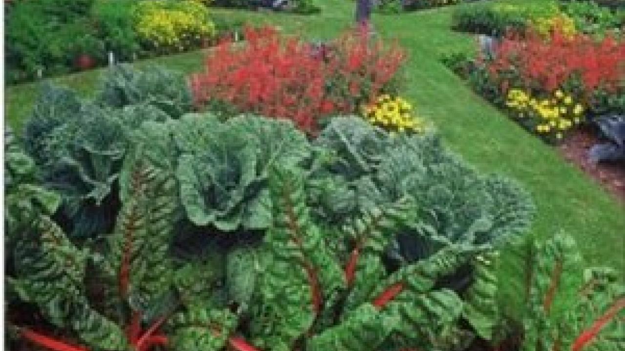 Edible Landscape design photo courtesy of ANR. Edible Landscape design photo courtesy of ANR.