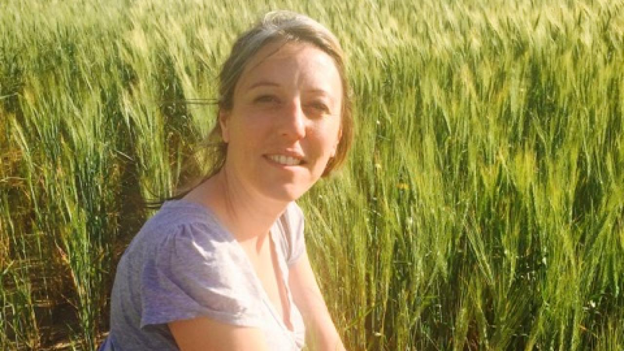 Amélie Gaudin, assistant professor of agroecology at UC Davis. Amélie Gaudin, assistant professor of agroecology at UC Davis.