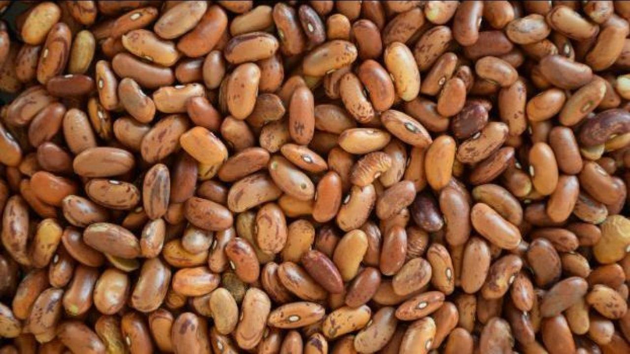 Dry beans