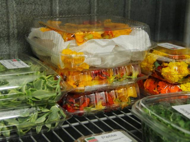 plastic containers of greens and other vegetables in a refrigerator