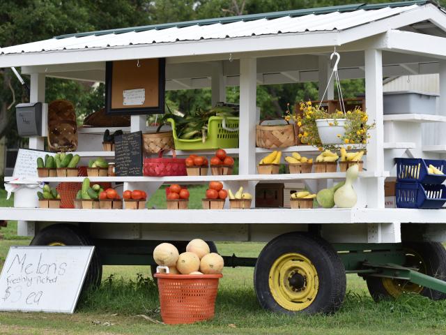 Farm stand with vegetables in baskets