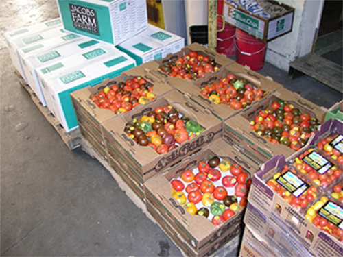 Crates of tomatoes at a warehouse