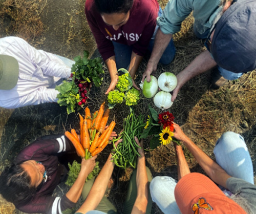A variety of vegetables is shown in outstretched arms of people in a circle.