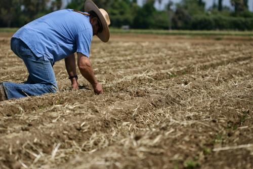 Farmer kneeling in field