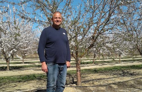 A man in an almond orchard