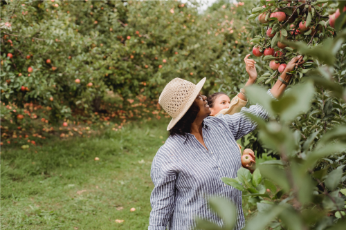 woman and teenager smiling and picking fruit in orchard