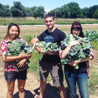 students holding recently harvested broccoli at an organic farm