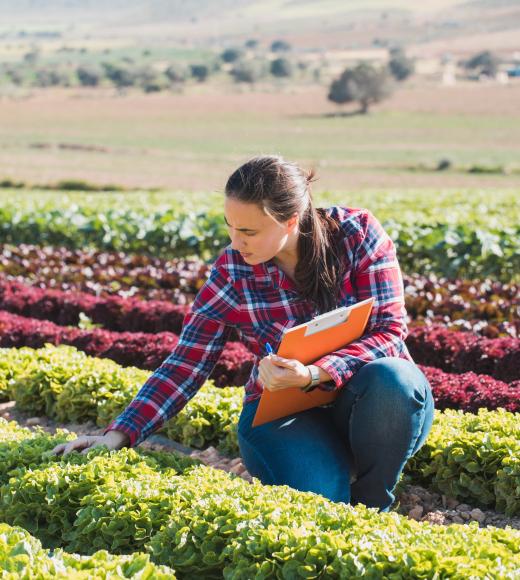 Woman in lettuce field with clipboard