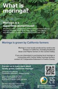 Cover image of What is Moringa? flyer. 