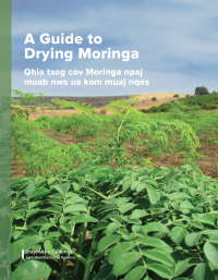 Moringa field on the cover of A Guide to Drying Moringa