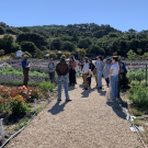 A dozen people listening to a man wearing a baseball cap at a lavender farm. 