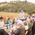 Group of people eating dinner in a vineyard